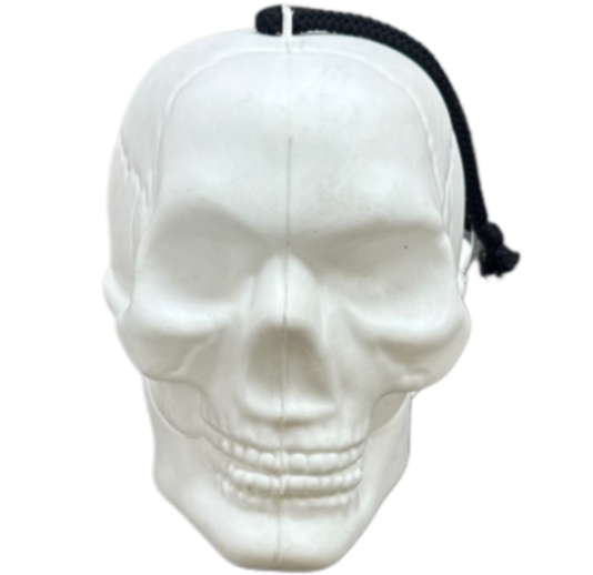 Picfest Halloween Skull